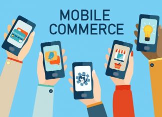 Hồ sơ đăng ký ứng dụng cung cấp dịch vụ thương mại điện tử Hồ sơ đăng ký ứng dụng cung cấp dịch vụ thương mại điện tử