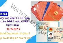 THÔNG BÁO về việc cập nhật CCCD gắn chíp của ĐDPL trên GPKD trước ngày 31/3/2023 nếu không muốn bị phạt ?