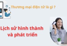 Thương mại điện tử là gì ? Lịch sử hình thành và phát triển