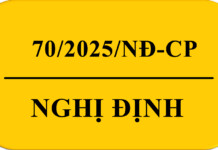 Nghị định 70/2025/NĐ-CP