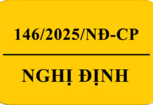 Nghị định 146/2025/NĐ-CP