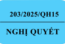 Nghị quyết số 203/2025/QH15