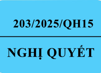 Nghị quyết số 203/2025/QH15